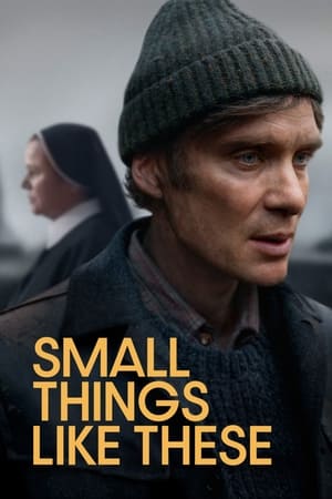 Small Things Like These 2024 Hindi Dubbed