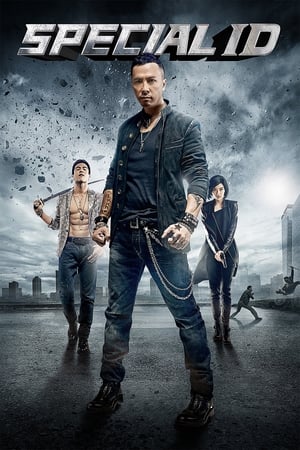 Special ID (2013) Hindi Dual Audio 300MB ESubs